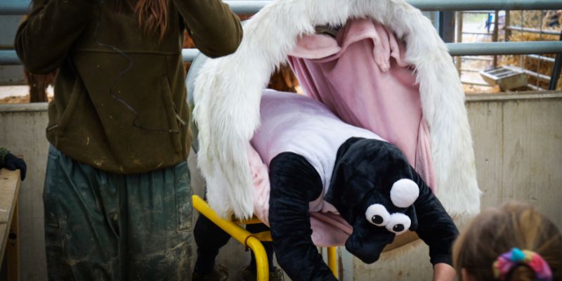 a person dressed up as a sheep laying inside of a giant birthing tube during lambing lesson