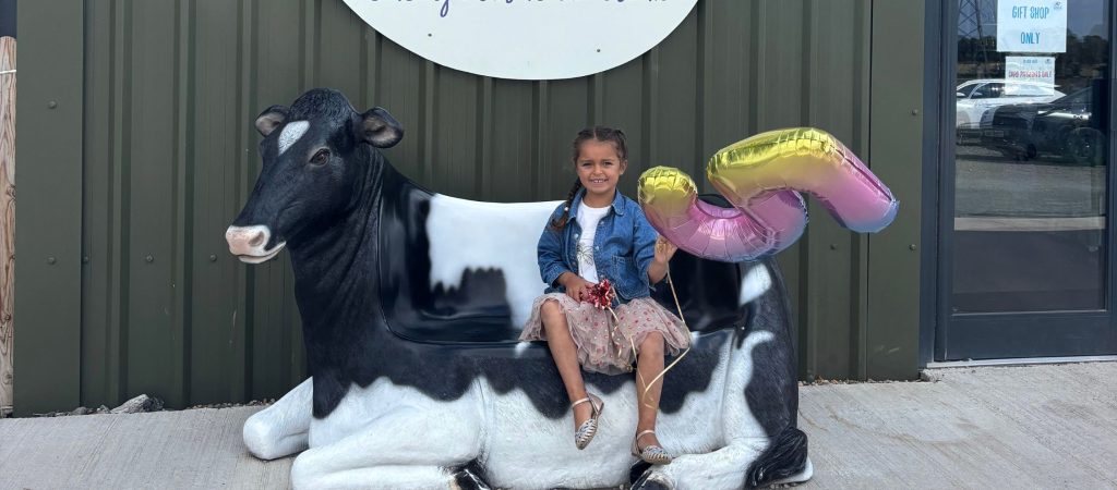 little girl with blue jacket and pink skirt sitting on artificial cow with big balloon smiling to camera