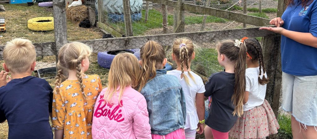 group of small children looking inside animal encounter during their visit at Bluebells Derby